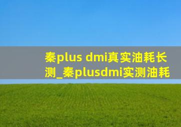 秦plus dmi真实油耗长测_秦plusdmi实测油耗